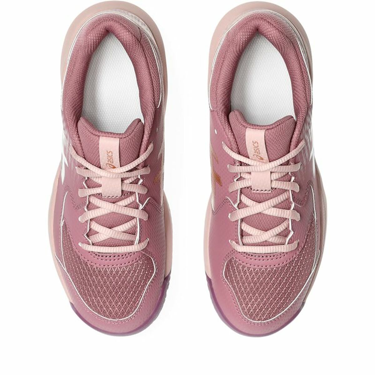 Adult's Padel Trainers Asics Gel-Dedicate 8 Padel Gs Purple Pink
